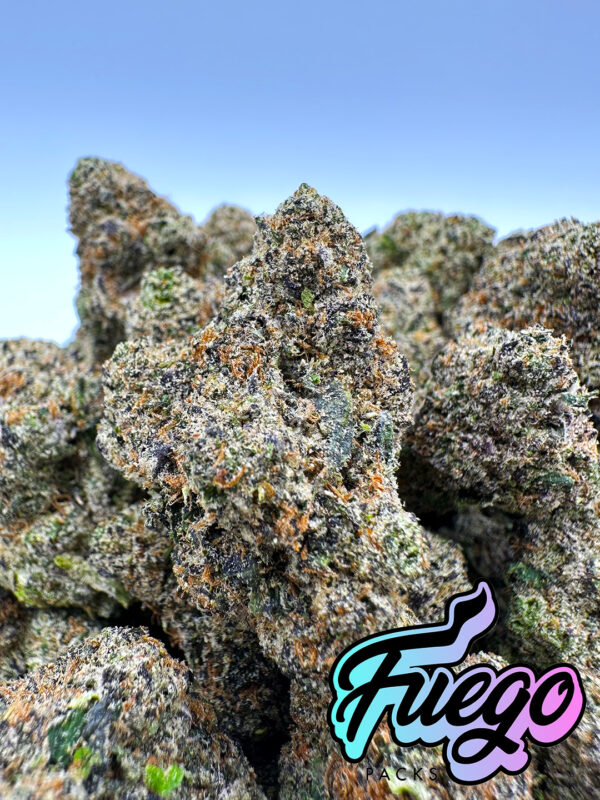 Fuego Packs Miami, London Jelly Flower Strain