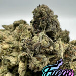 Fuego Packs Miami, Venom OG