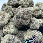 Fuego Packs Miami, Zkittlez Pop Flower Strain