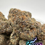 Fuego Packs Miami, High Octane Strain