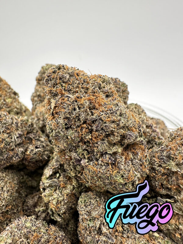 Fuego Packs Miami, High Octane Strain