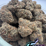 Fuego Packs Miami, Black Ice Flower Strain